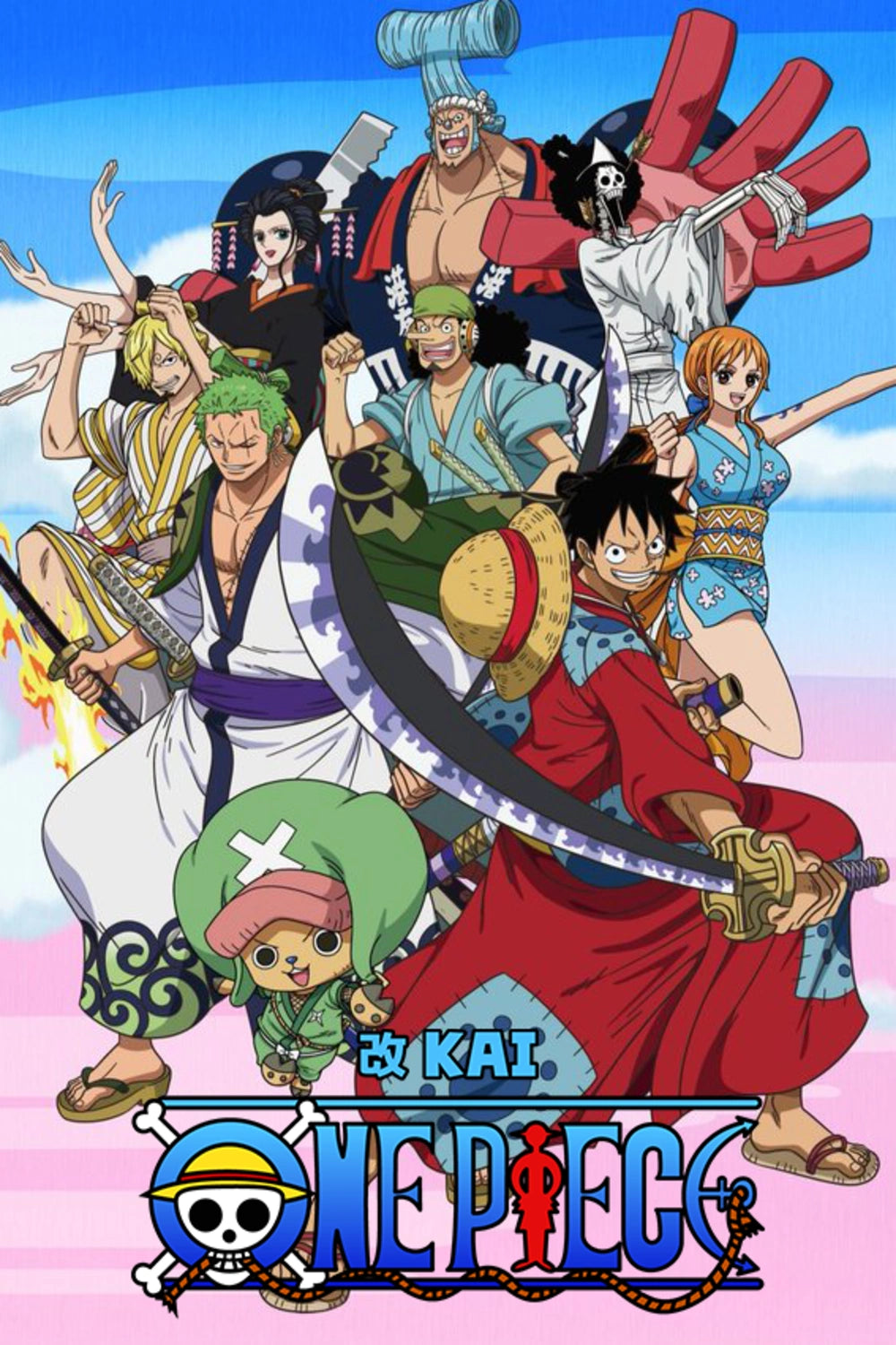 MEDIA CIRCLE : One Piece: Pack Ultime -l'intégralité de l'anime Kai , Manga , OAV et Bonus!