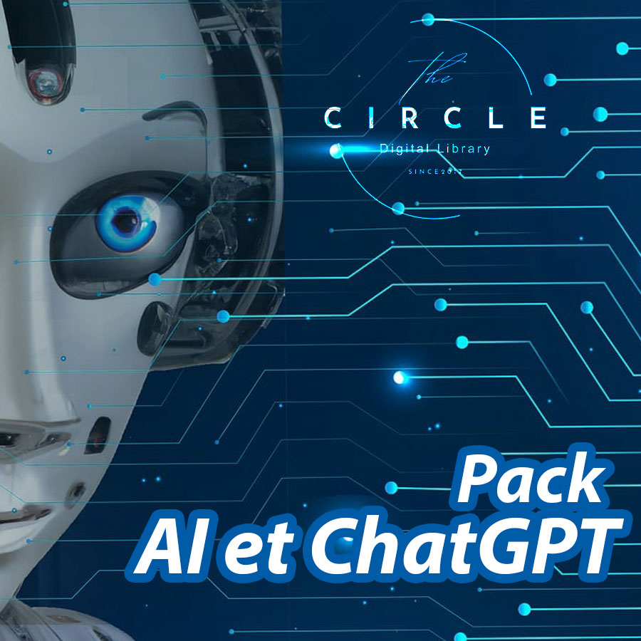 AI & GPT : la maitrise ultime sur une clé USB !