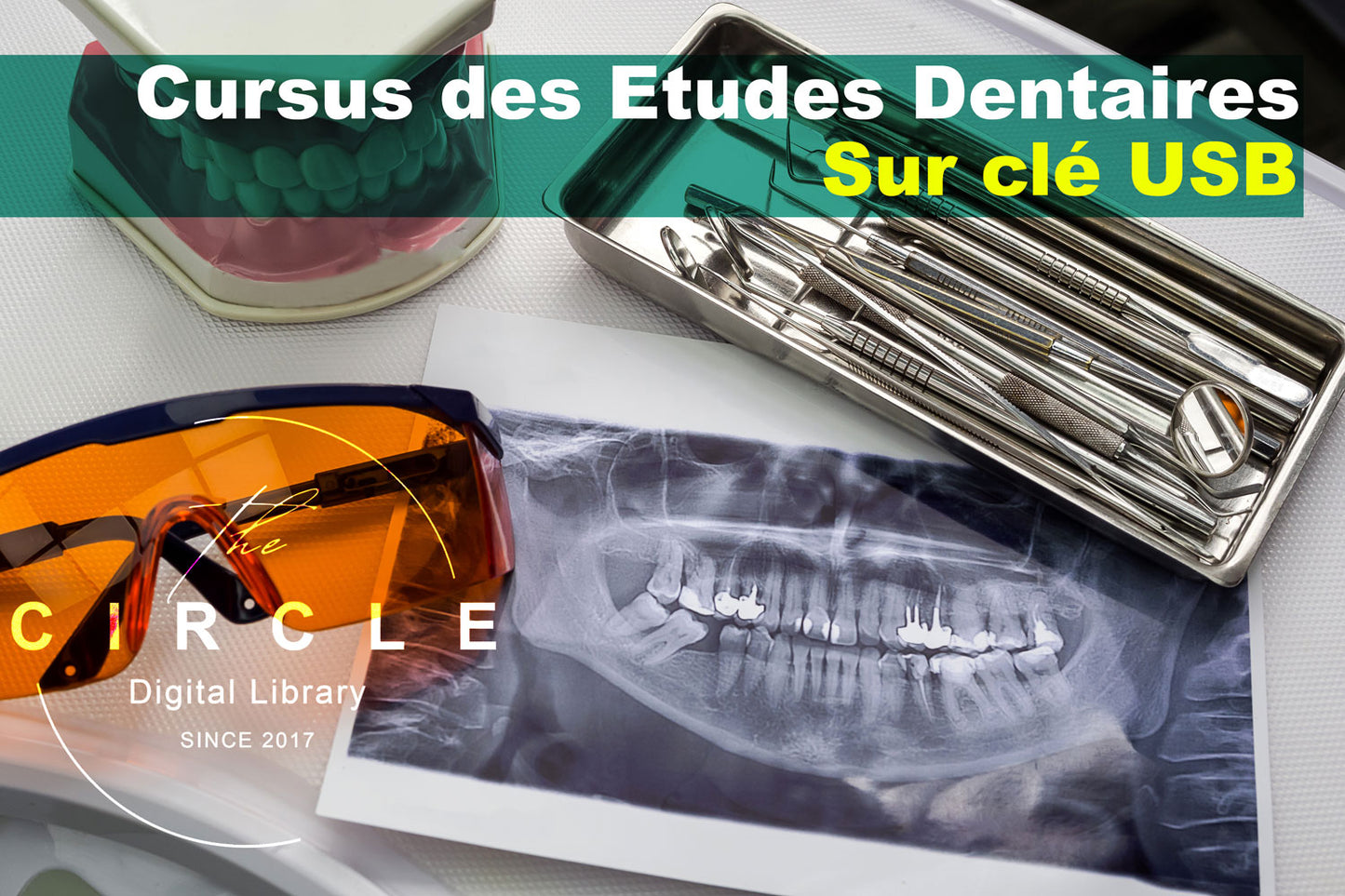 Chirurgie Dentaire : le Pack pour Réussir ses études