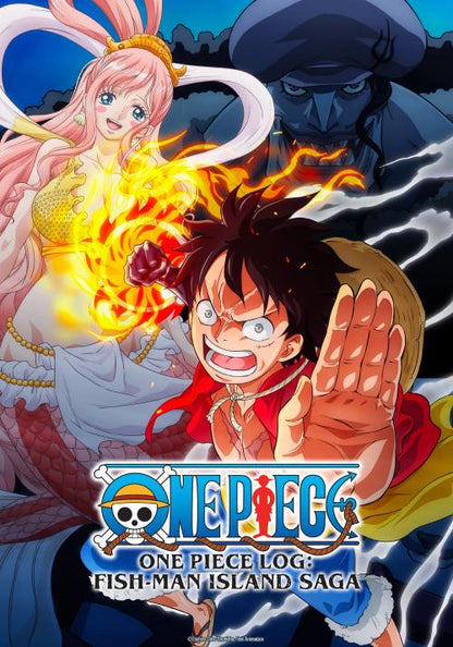 MEDIA CIRCLE : One Piece: Pack Ultime -l'intégralité de l'anime Kai , Manga , OAV et Bonus!
