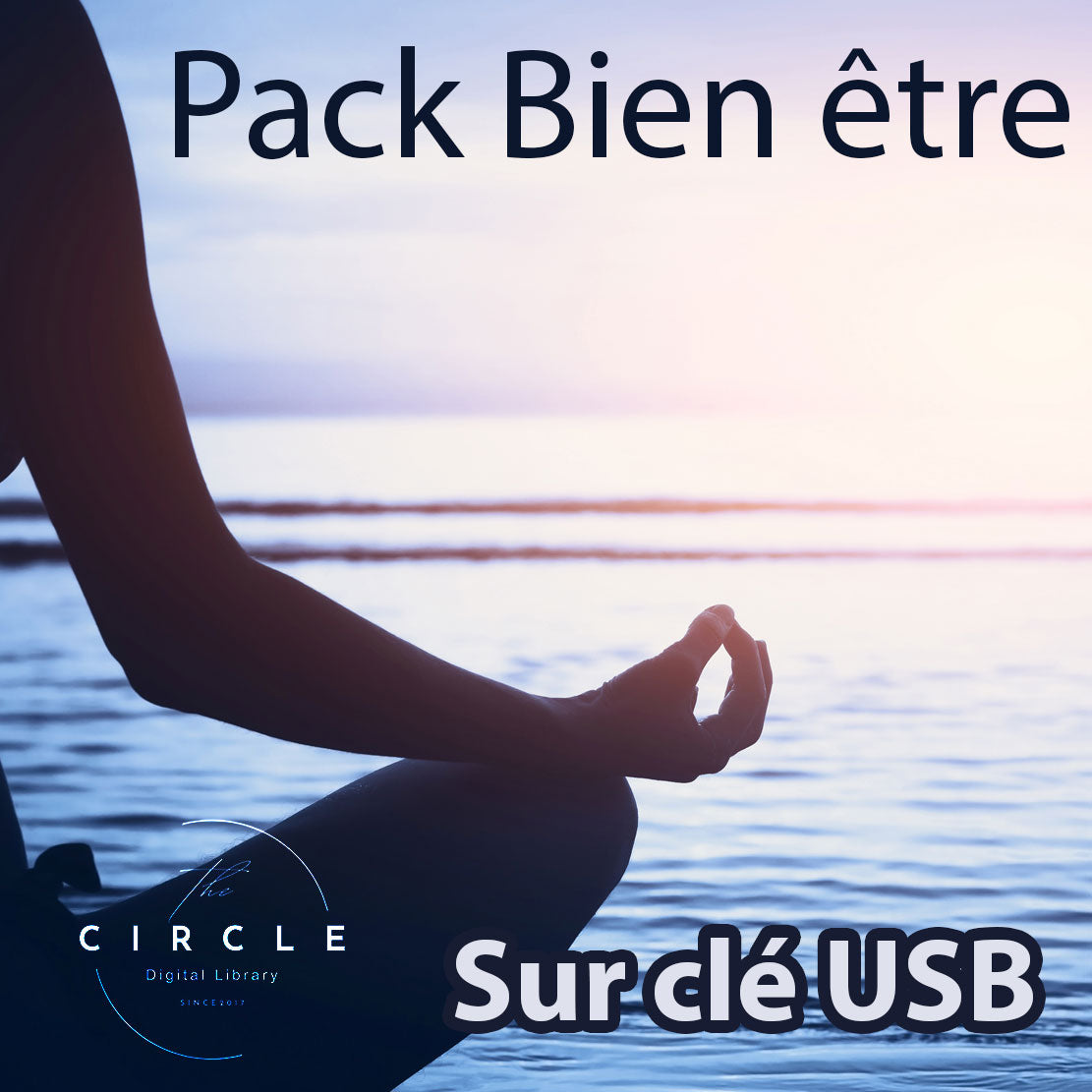 Votre Bien-Être sur Clé USB