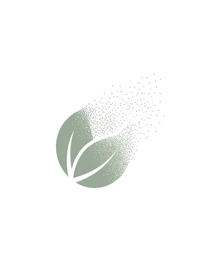 RAHADERM : POUDRE DEODORANTE